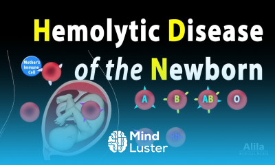 Learn Hemolytic Disease Of The Newborn Hdn Animation Mind Luster