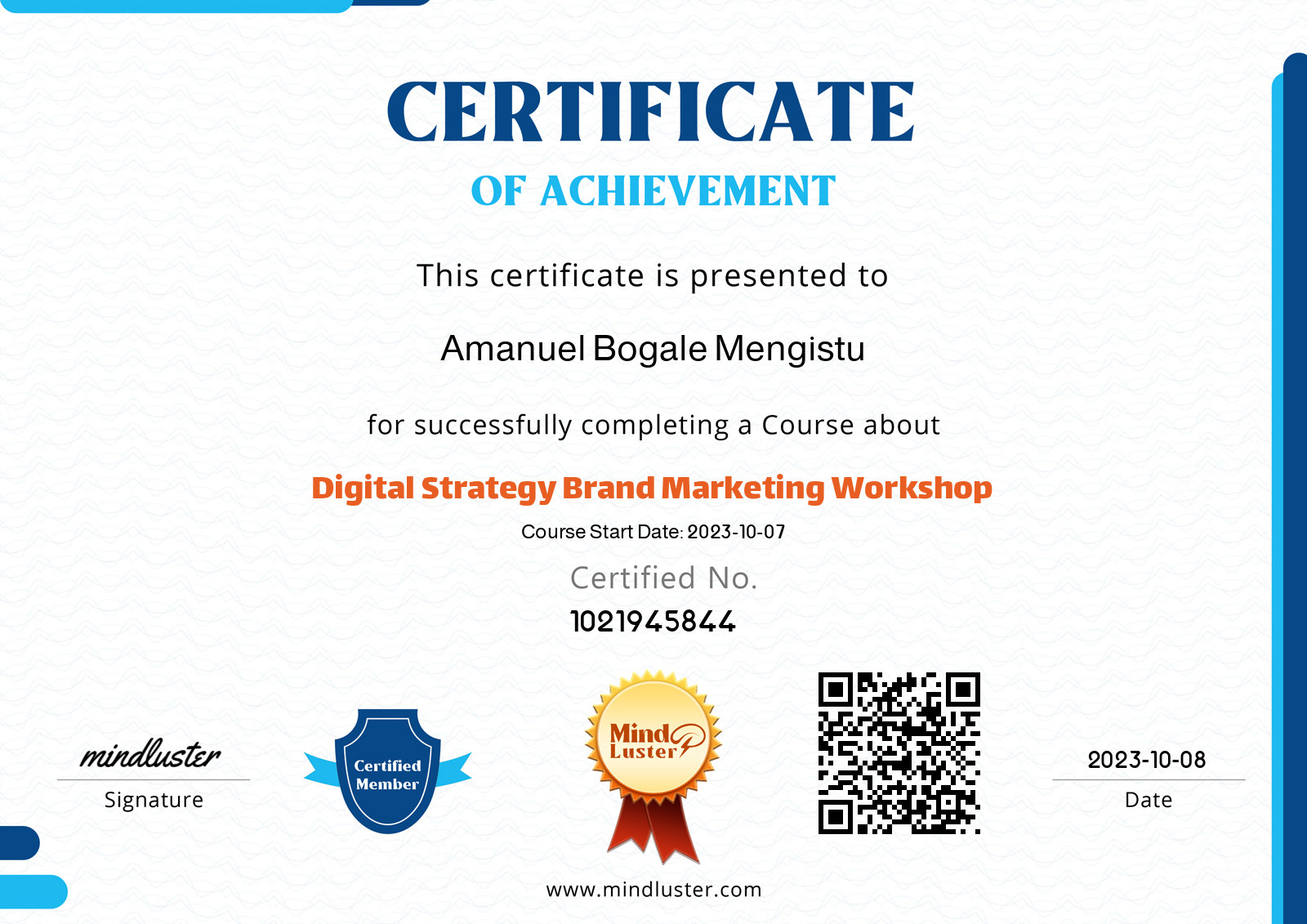 Amanuel Bogale Mengistu-Digital Strategy Brand Marketing Workshop ...