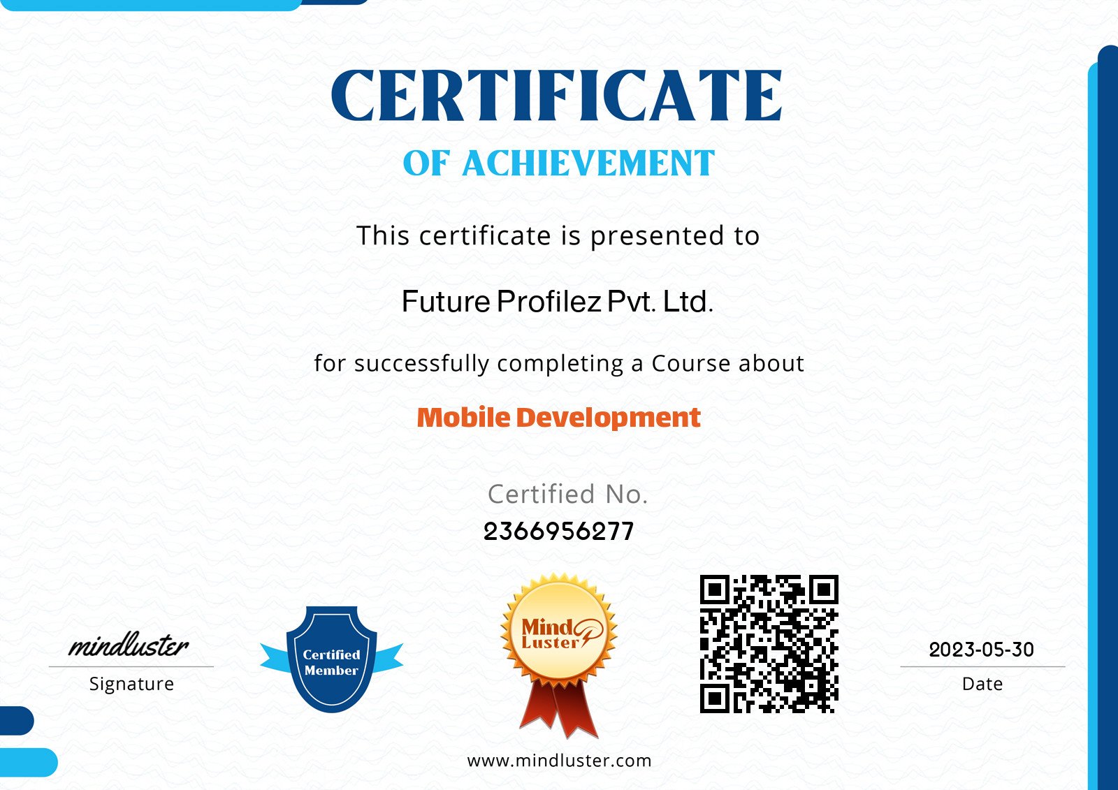 future-profilez-pvt-ltd-mobile-development-mind-luster