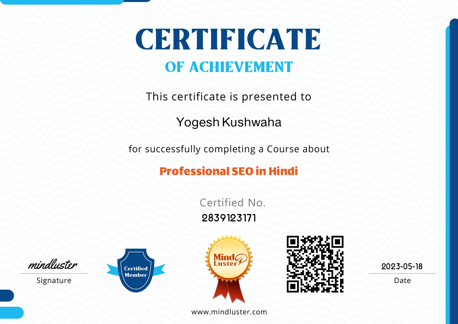 Yogesh kushwaha-Professional SEO in Hindi - Mind Luster