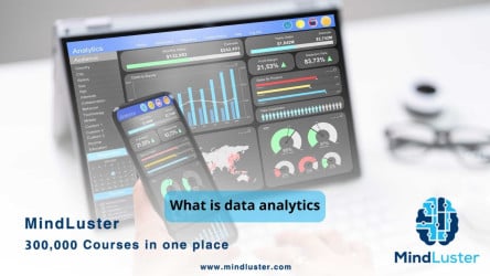 Understanding Data Analytics: What Numbers Could Tell You
