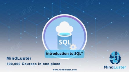 SQL for Everyone: Your Guide to Mastering Data Analysis