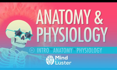 Anatomy Physiology Tutorial - Mind Luster