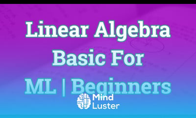 Linear Algebra basics for Beginners Tutorial - Mind Luster