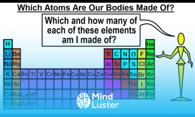 Learn Can You Believe It 25 Which Atom Are Our Bodies Made Of - Mind Luster