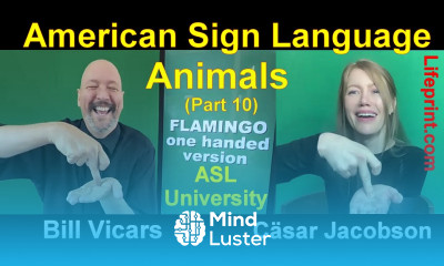 Learn Animal Signs 10 American Sign Language ASL Bill Vicars with Cäsar ...