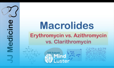 Learn Macrolides Azithromycin Erythromycin Bacterial Targets Mechanism ...