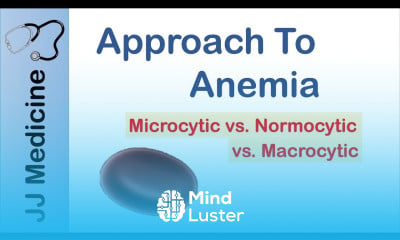 Learn Anemia Microcytic vs Normocytic vs Macrocytic - Mind Luster