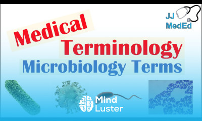 Learn Medical Terminology The Basics Microbiology And Infectious