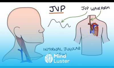 Jugular Venous Pressure JVP Techniques Measuring Tutorial - Mind Luster