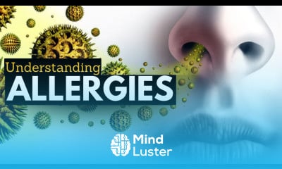 Learn Allergies 101 From Triggers To Treatments - Mind Luster