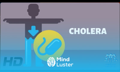 Learn CHOLERA Everything You Need To Know - Mind Luster