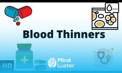 Learn Blood Thinners Everything You Need To Know - Mind Luster