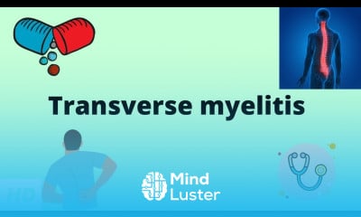 Learn Transverse Myelitis Causes Signs And Symptoms Diagnosis And ...