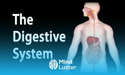 Cystic Fibrosis Symptoms and Treatments Tutorial - Mind Luster