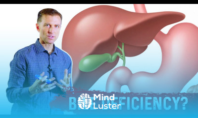 Learn How To Know if You Have Bile Deficiency Dr Berg - Mind Luster