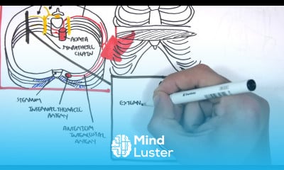 Learn Anatomy Thorax Clinical Nerve Block Mind Luster