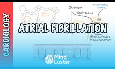 Learn Atrial Fibrillation Overview ECG types pathophysiology treatment ...