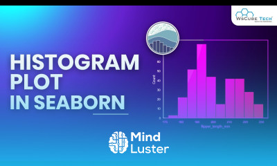 Learn Seaborn Histogram Plot Method in Python Complete Guide - Mind Luster