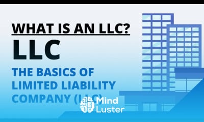 Limited Liability company benefits 2024 Tutorial - Mind Luster