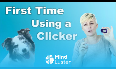 Learn How to start CLICKER TRAINING - Mind Luster