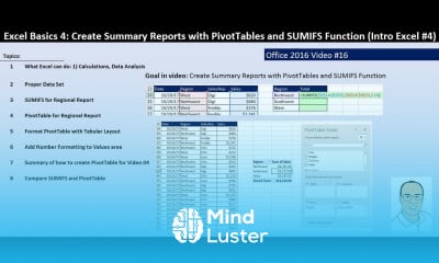 Learn Excel Basics 4 PivotTables SUMIFS Function to Create Summary ...