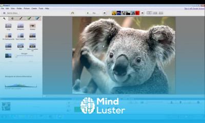 Learn Best Tutorial on Picasa Official Professional Look - Mind Luster