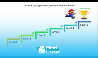 Learn CRISC Lecture Video 2 3A Capability Maturity Model - Mind Luster