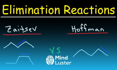 Learn Zaitsev vs Hoffman s Product E2 Elimination Reactions - Mind Luster